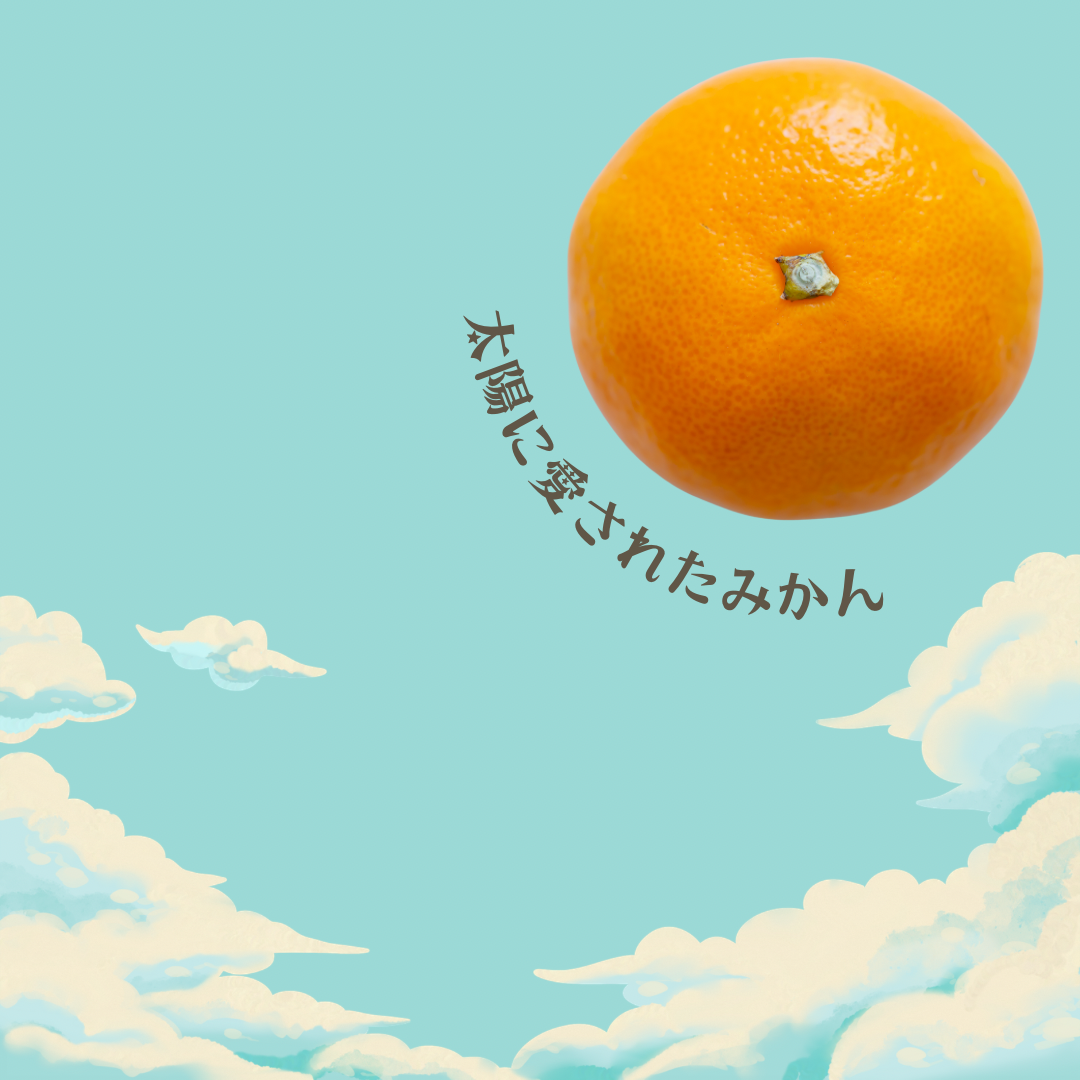 天空みかん「ゆら」-みかん山で太陽たっぷり浴びて育った濃厚みかん