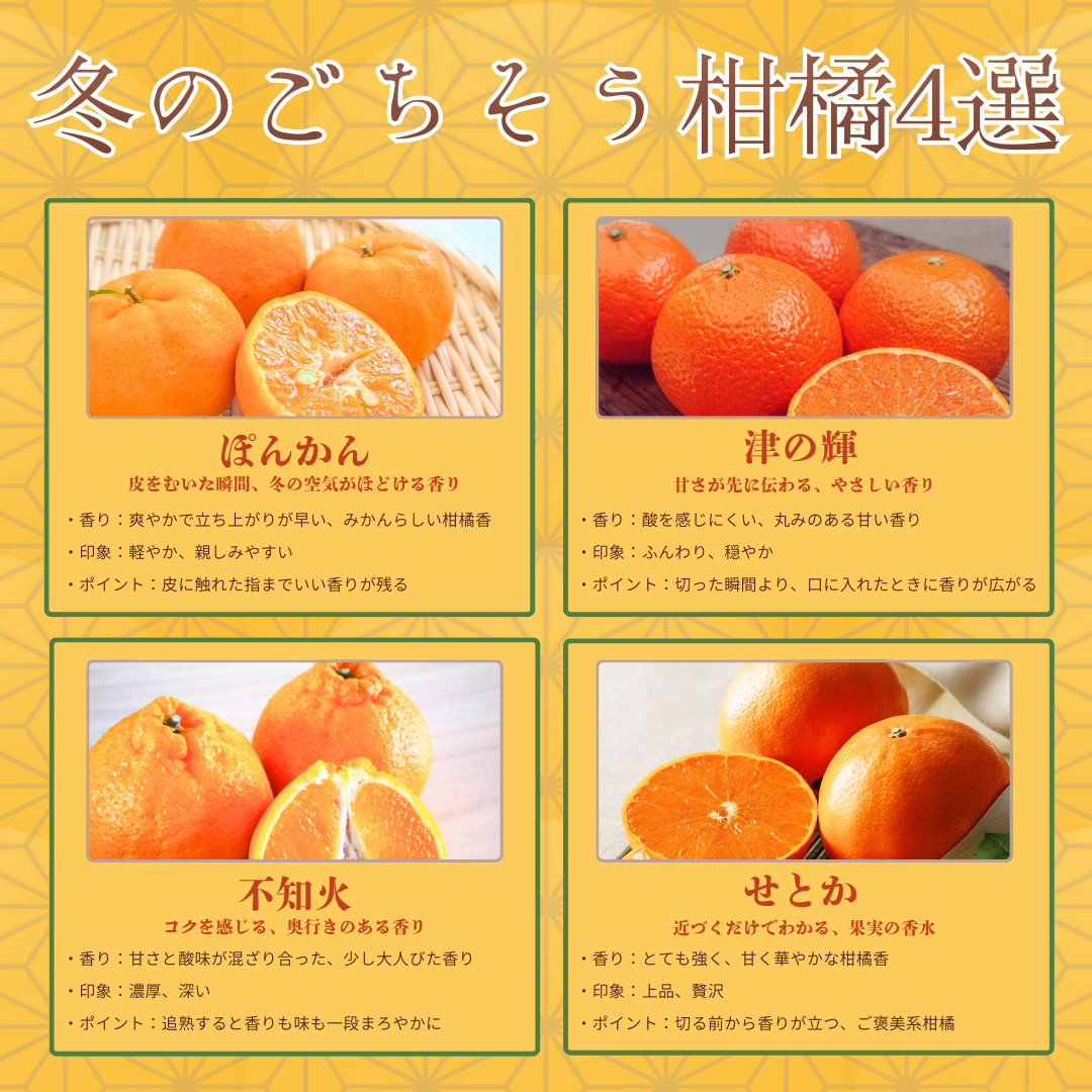 天空みかん「ポンカン」~サクサクジューシーな食感~
