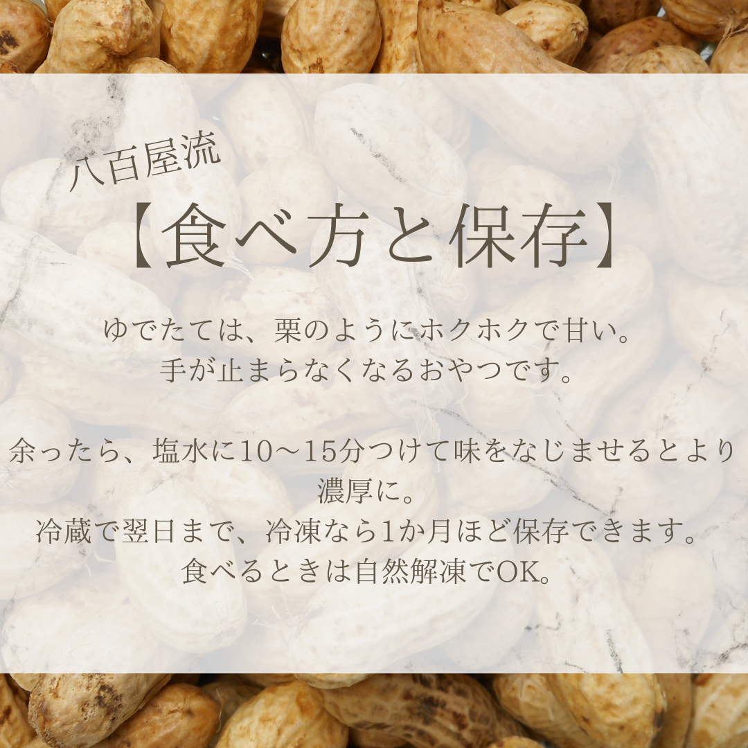 ジャンボ生落花生 「おおまさり」 - 手間をかける価値のある秋のスイーツ-