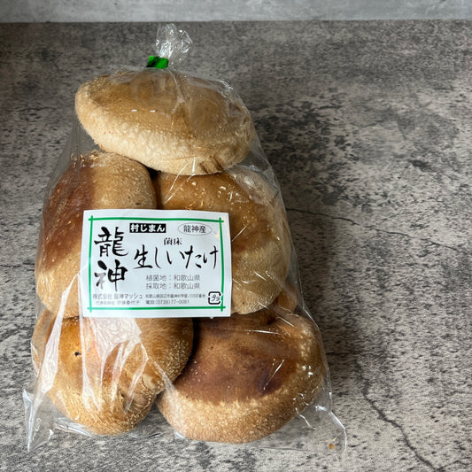 龍神しいたけ-秘境で栽培する幻の椎茸-