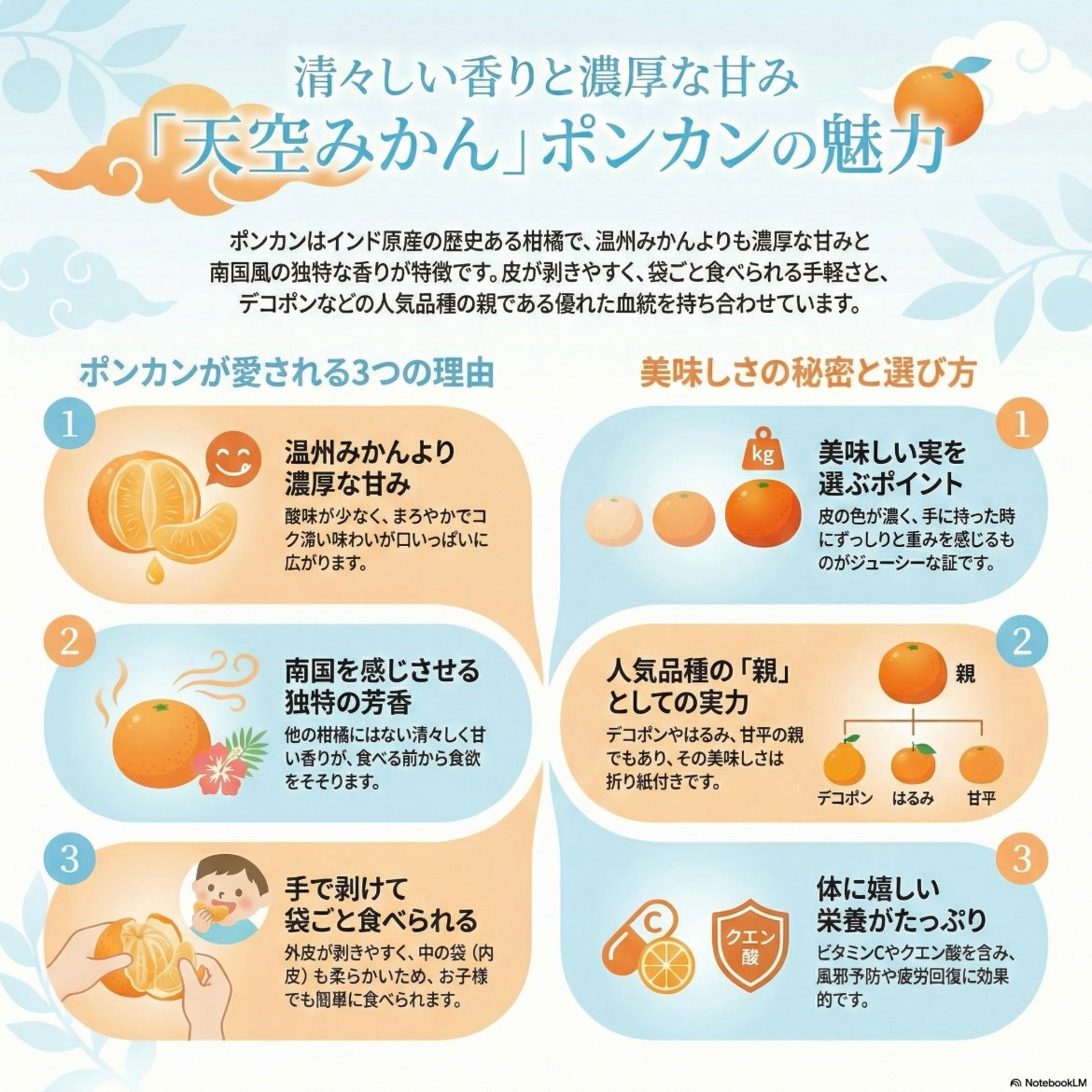天空みかん「ポンカン」~サクサクジューシーな食感~