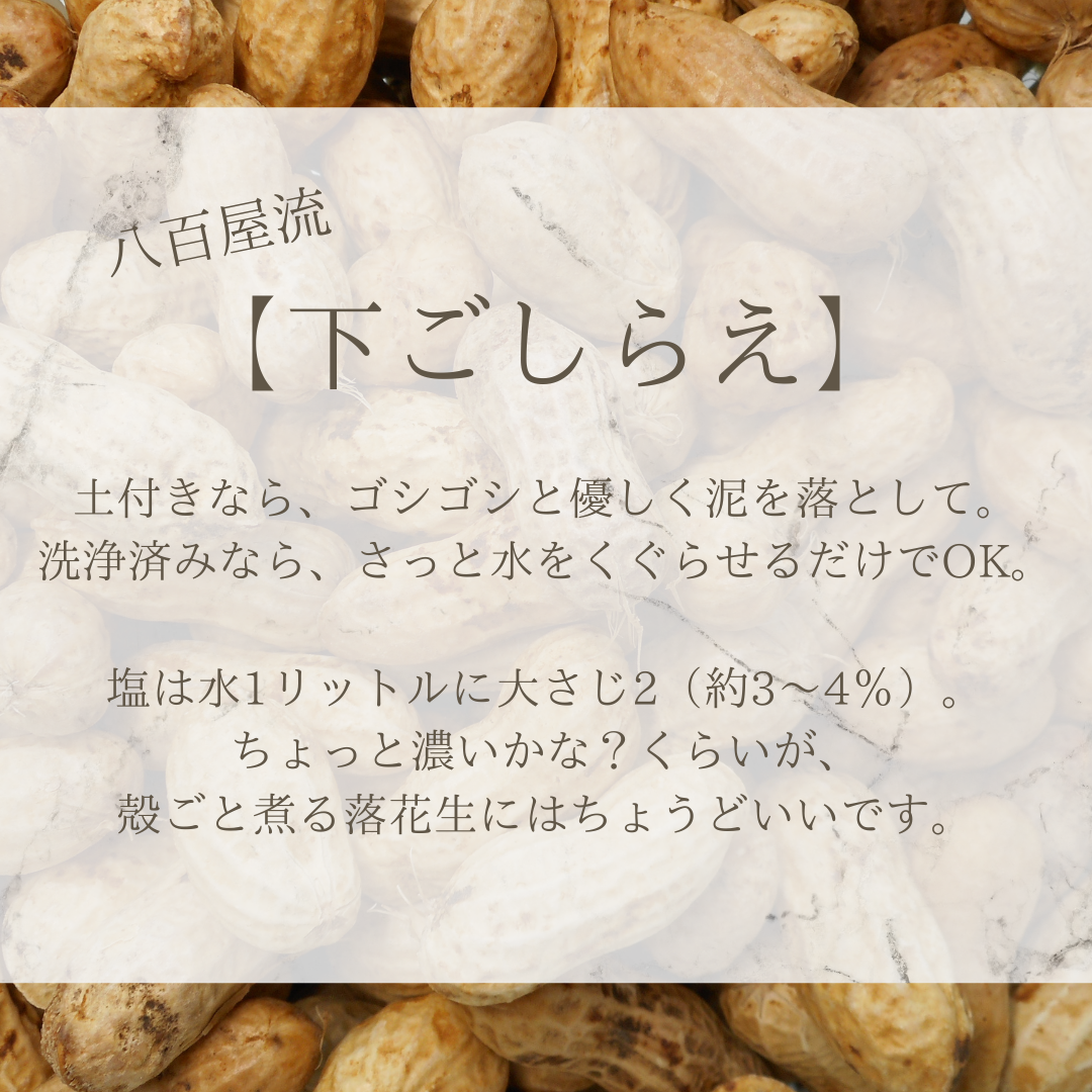 ジャンボ生落花生 「おおまさり」 - 手間をかける価値のある秋のスイーツ-