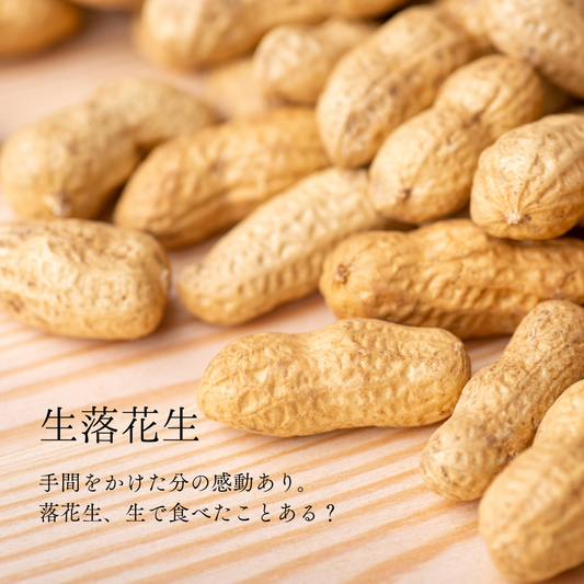 ジャンボ生落花生 「おおまさり」 - 手間をかける価値のある秋のスイーツ-