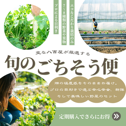 【今だけお野菜増量中】旬のごちそう便