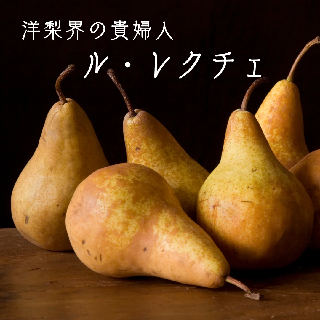 信州産ル・レクチェ-西洋梨の貴婦人-