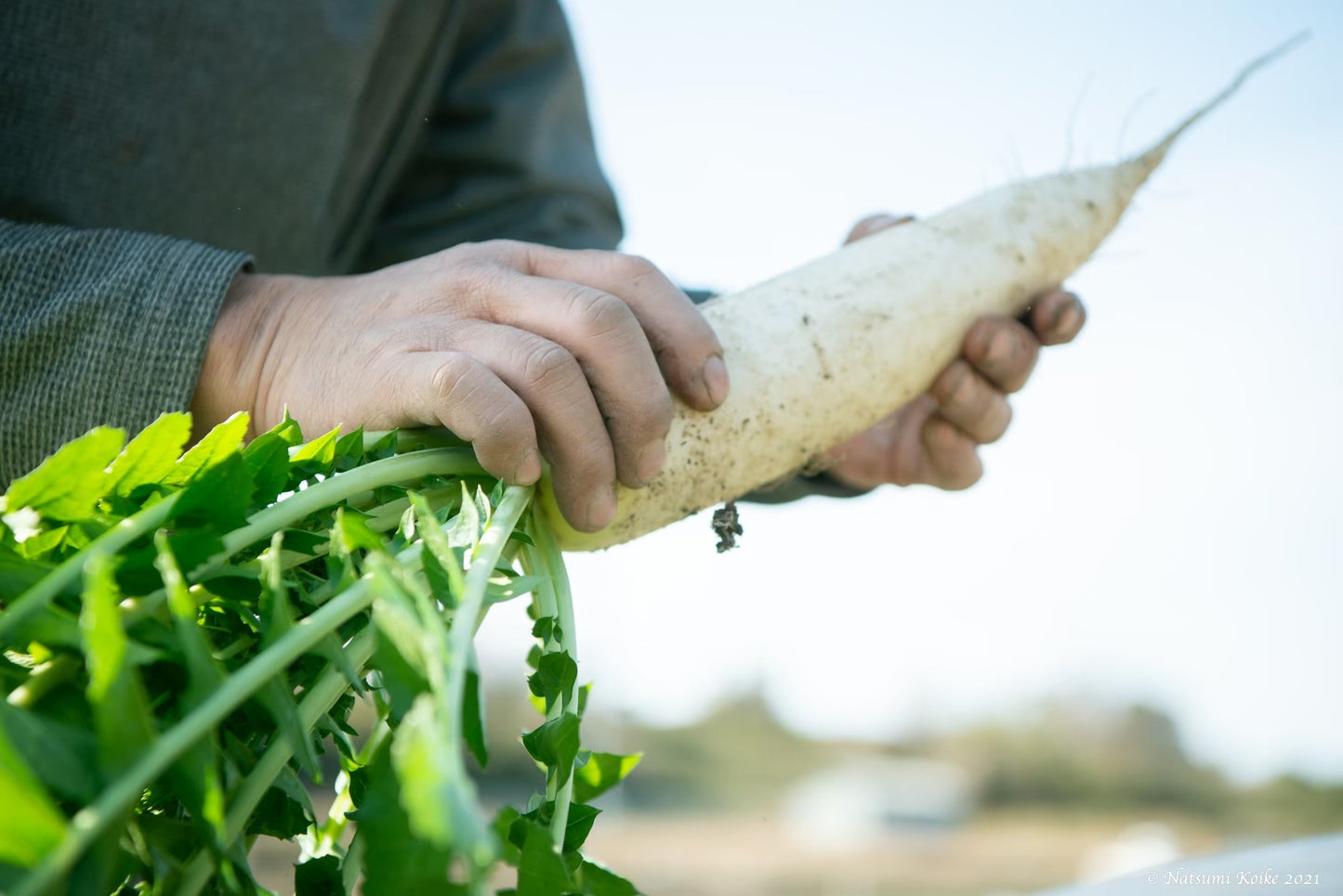 【今だけお野菜増量中】旬のごちそう便