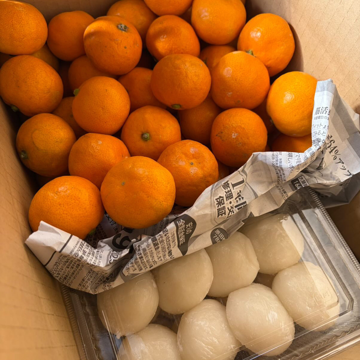 【年内発送・30個限定】新春を彩る厳選セット｜農家直送みかん3kg & つきたて白餅24個