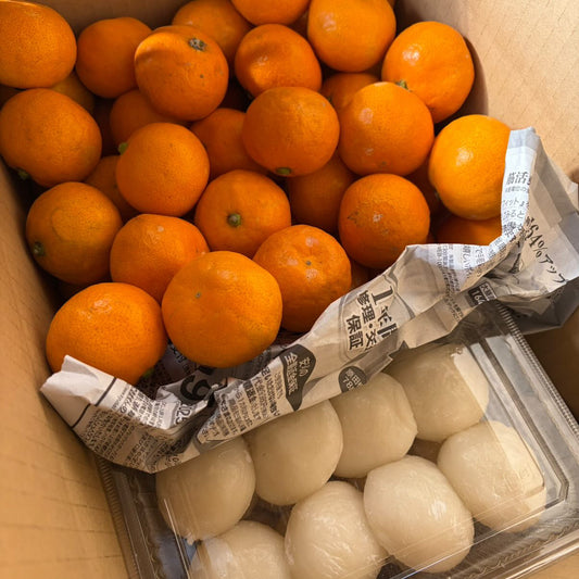 【年内発送・30個限定】新春を彩る厳選セット｜農家直送みかん3kg & つきたて白餅24個