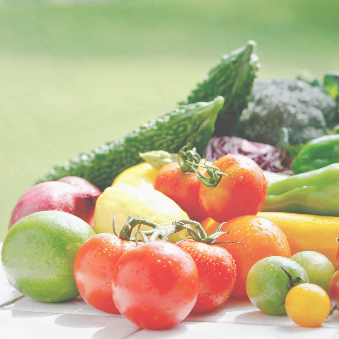 【限定10セット】幻のスモモ入り初夏野菜の贅沢便