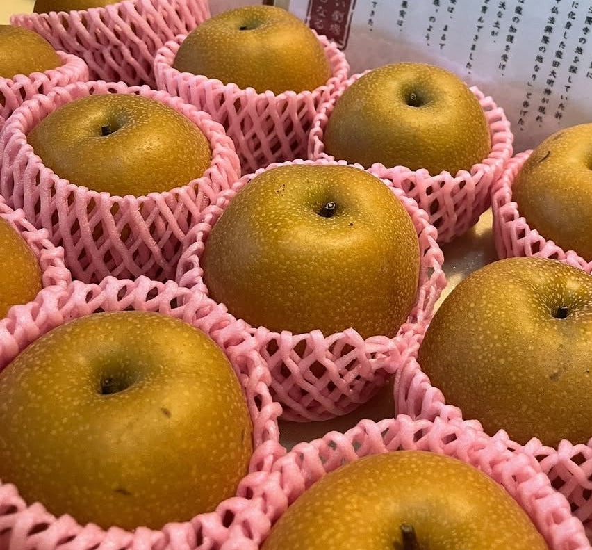 龍田宝珠-龍に守られた梨-